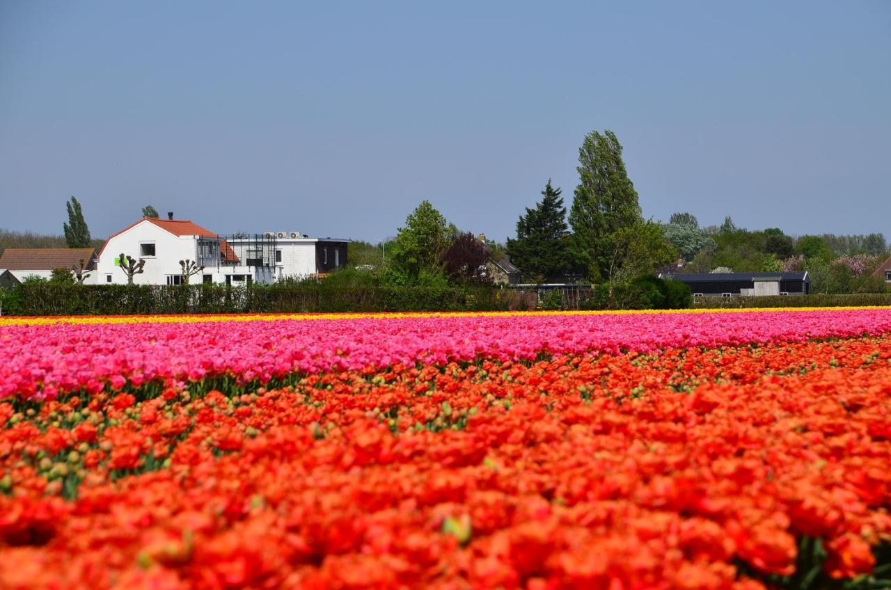 Wellness Bed & Breakfast Pergamo Voorhout Экстерьер фото